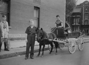 QUEBEC SURNAMES: Gamache + Cadot, Cloutier, Fortin | LOCATIONS: Chateau-Richer, Breval, Quebec | Vintage b/w view of Rene Gamache sits in delivery wagon of butcher Y Desautels